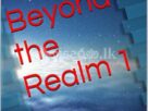 Beyond the Realm novel series by Joel Goulet