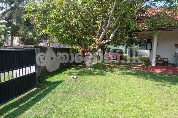 Code 3954 Land with a house for sale Katubedda