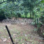 Land for sale (3957) Kandy