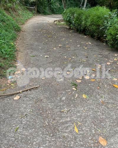 Land for sale (3957) Kandy