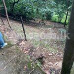 Land for sale (3957) Kandy