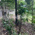 Land for sale (3957) Kandy
