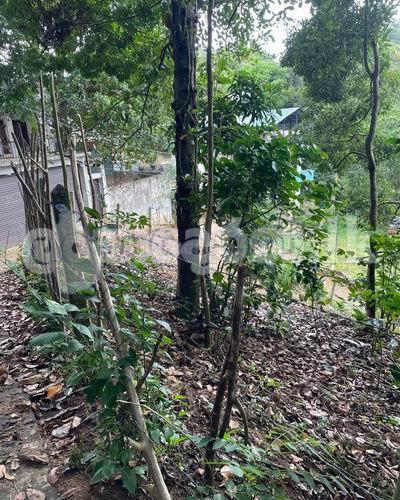 Land for sale (3957) Kandy