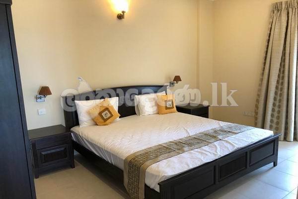 Code 3683 Apt for rent Col07