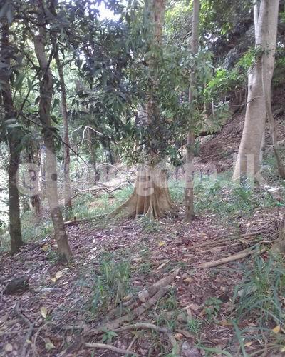 Land for sale (3979) Kandy