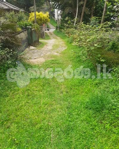 Land for sale (3979) Kandy