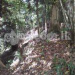 Land for sale (3979) Kandy