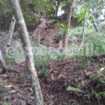 Land for sale (3979) Kandy