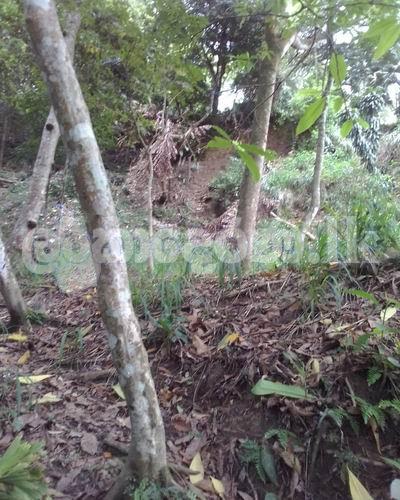 Land for sale (3979) Kandy