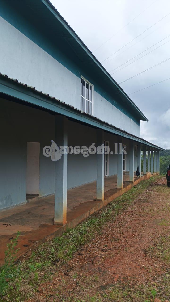 Building for sale (3975) Dickoya