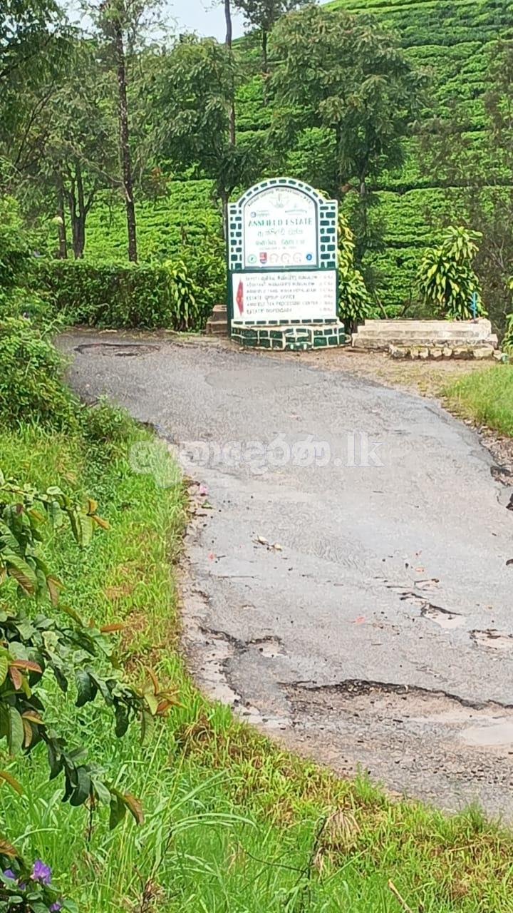 Building for sale (3975) Dickoya